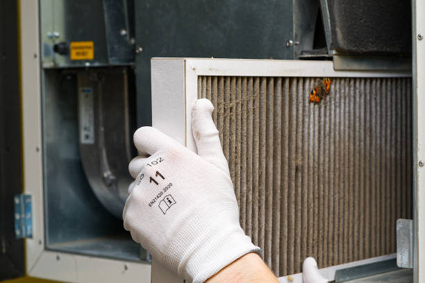Best Professional Duct Cleaning Services  in Jacksonville, TX